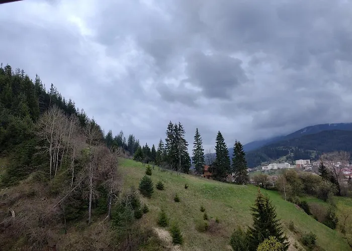 за гости виктория *